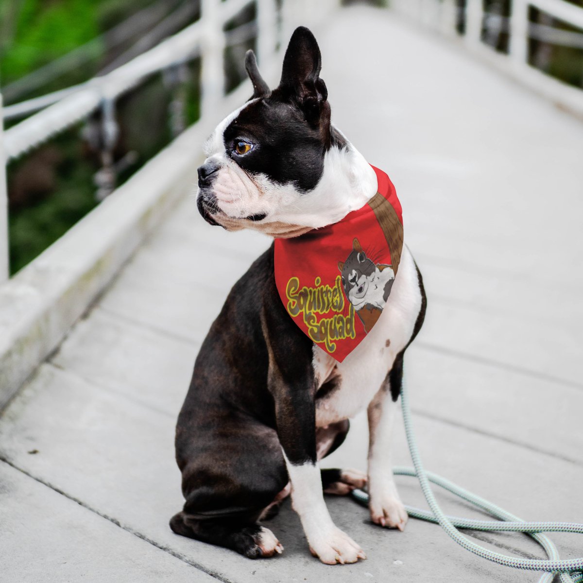 Squirrel Squad - Pet Bandana / Cool Dog Gift, Pet Fashion