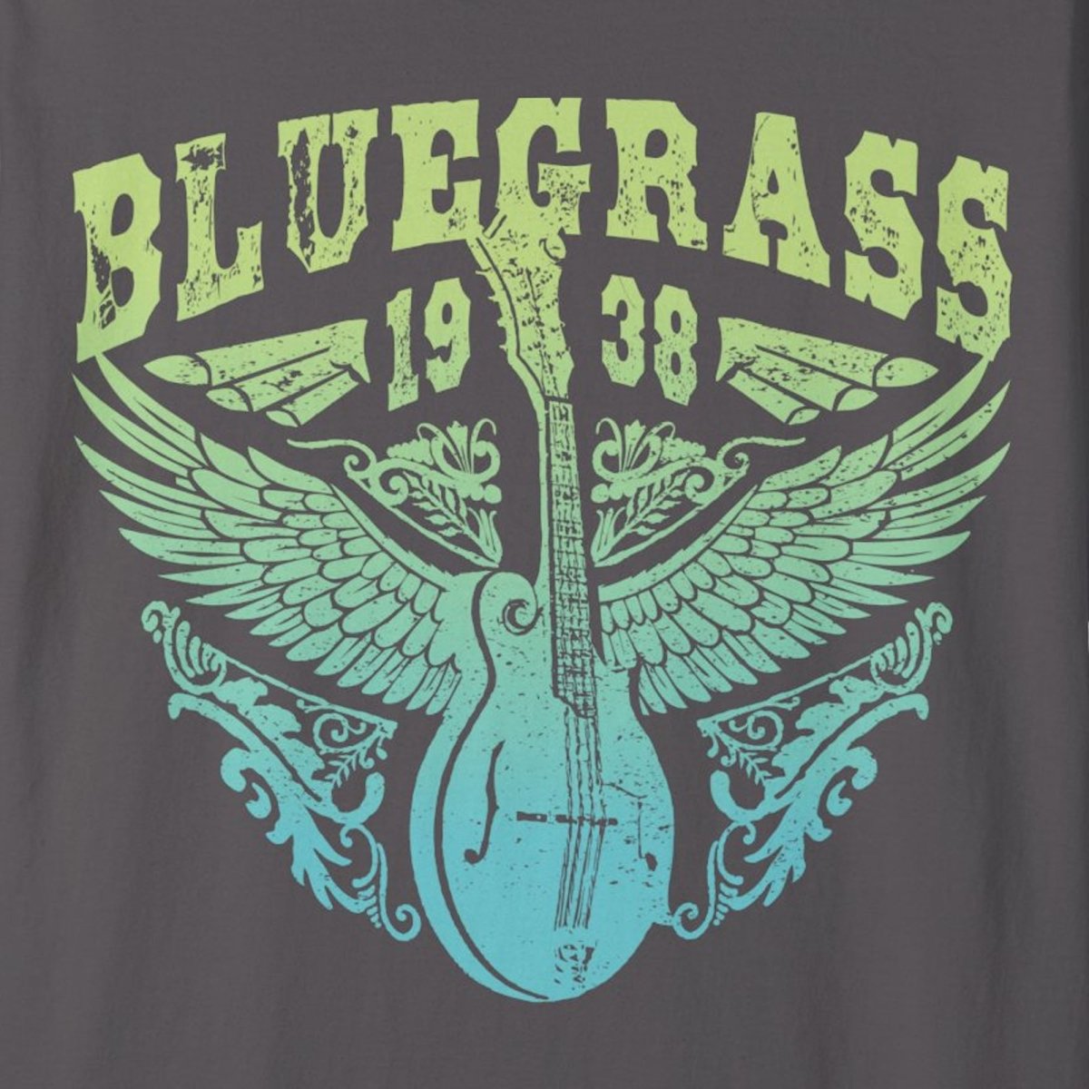 Bluegrass Shine Comfort Colors Relaxed Fit Softy Tee, Bluegrass Music Bliss, Mandolin, Americana, Roots Music